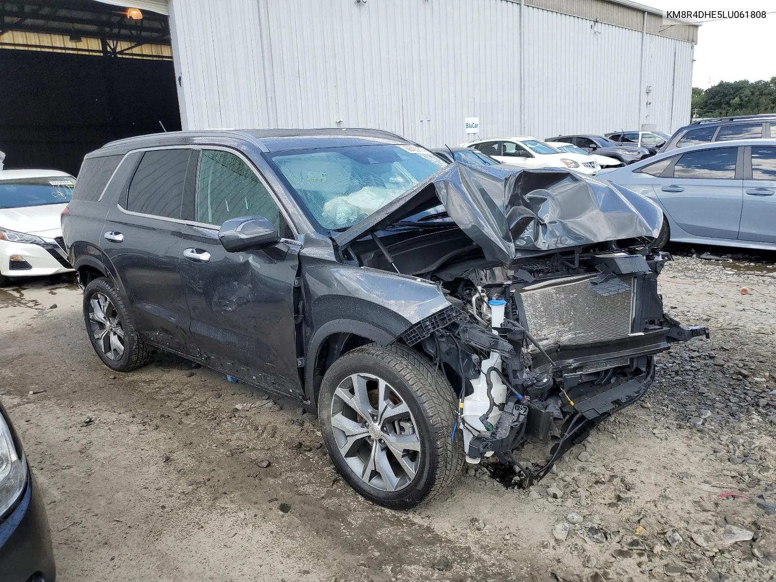 2020 Hyundai Palisade Sel VIN: KM8R4DHE5LU061808 Lot: 66400814