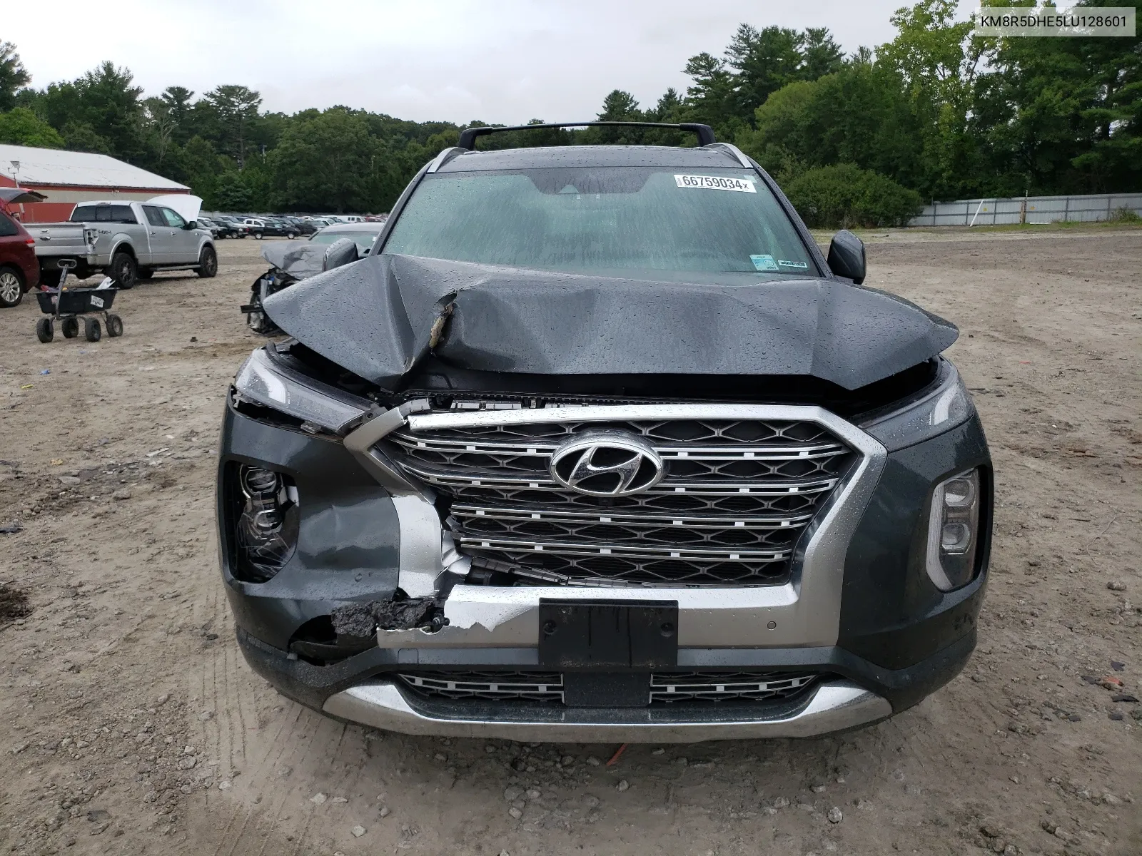 2020 Hyundai Palisade Limited VIN: KM8R5DHE5LU128601 Lot: 66759034