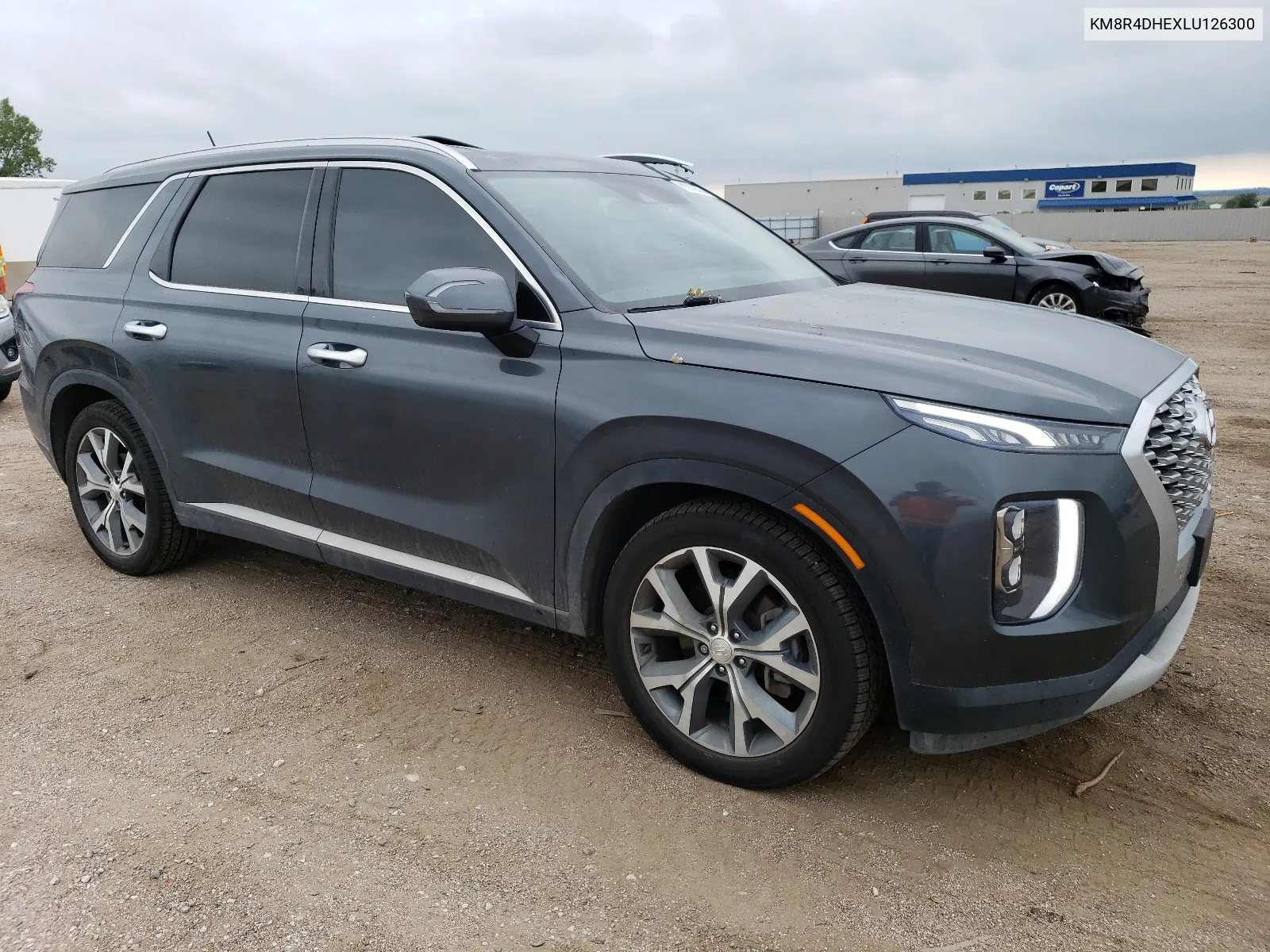 2020 Hyundai Palisade Sel VIN: KM8R4DHEXLU126300 Lot: 66935554