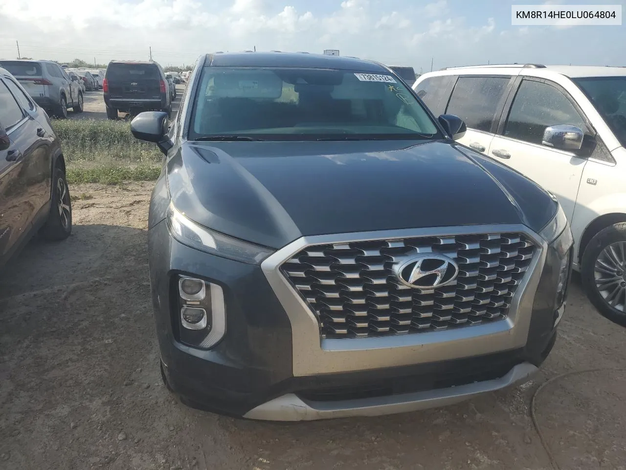 2020 Hyundai Palisade Se VIN: KM8R14HE0LU064804 Lot: 73815124