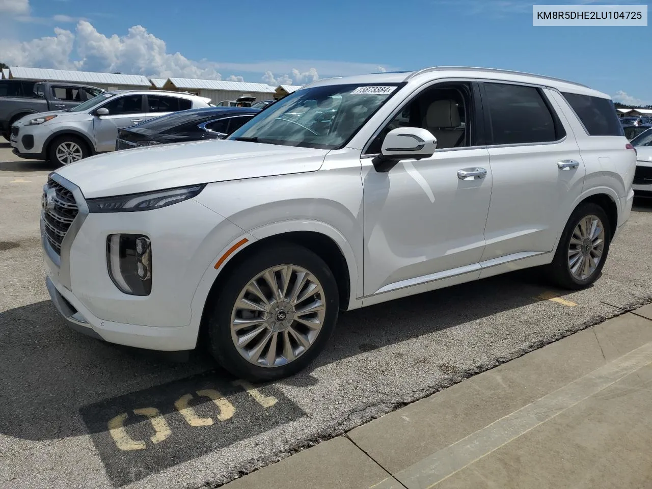 2020 Hyundai Palisade Limited VIN: KM8R5DHE2LU104725 Lot: 73873384