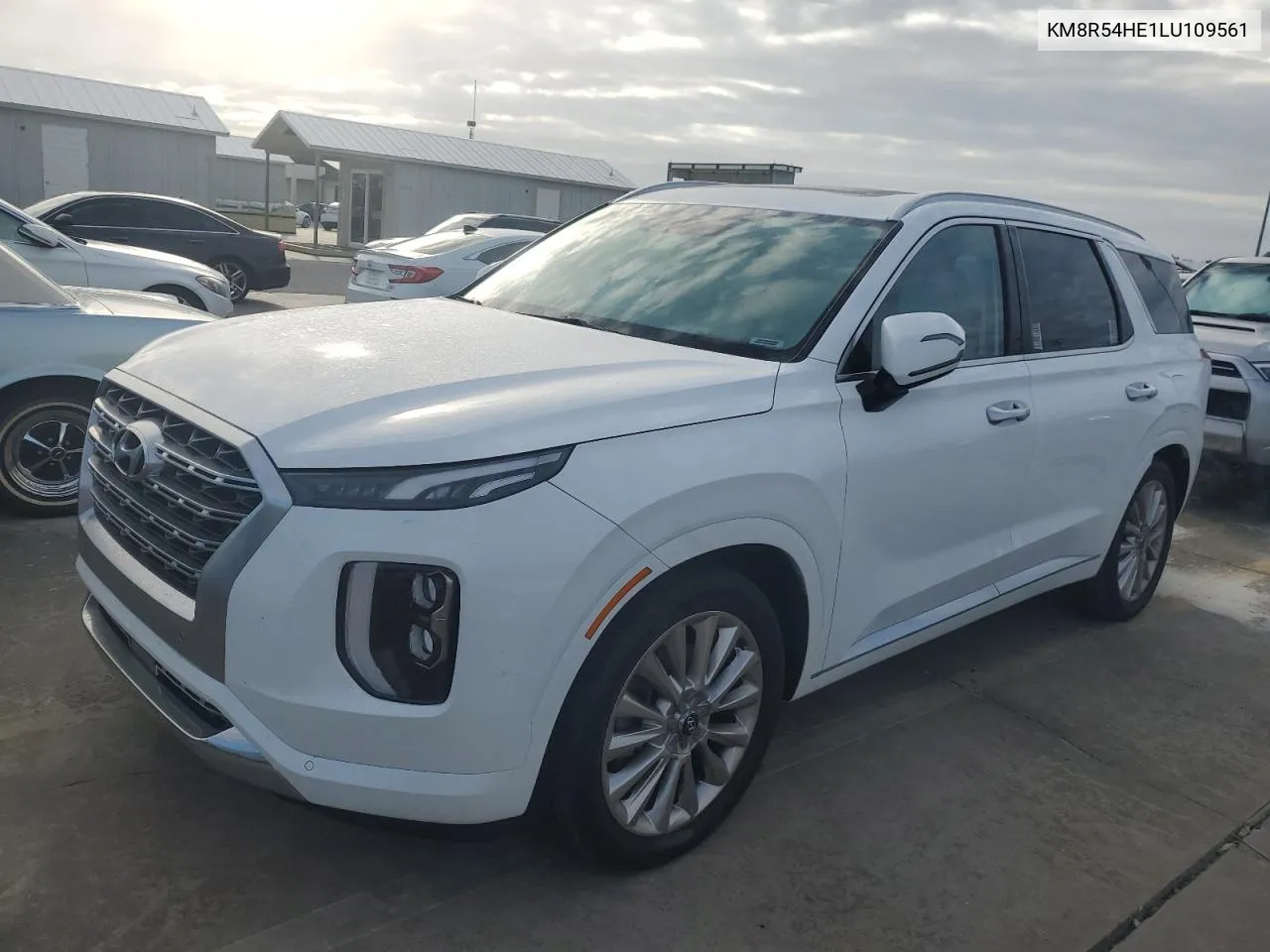 2020 Hyundai Palisade Limited VIN: KM8R54HE1LU109561 Lot: 74766374