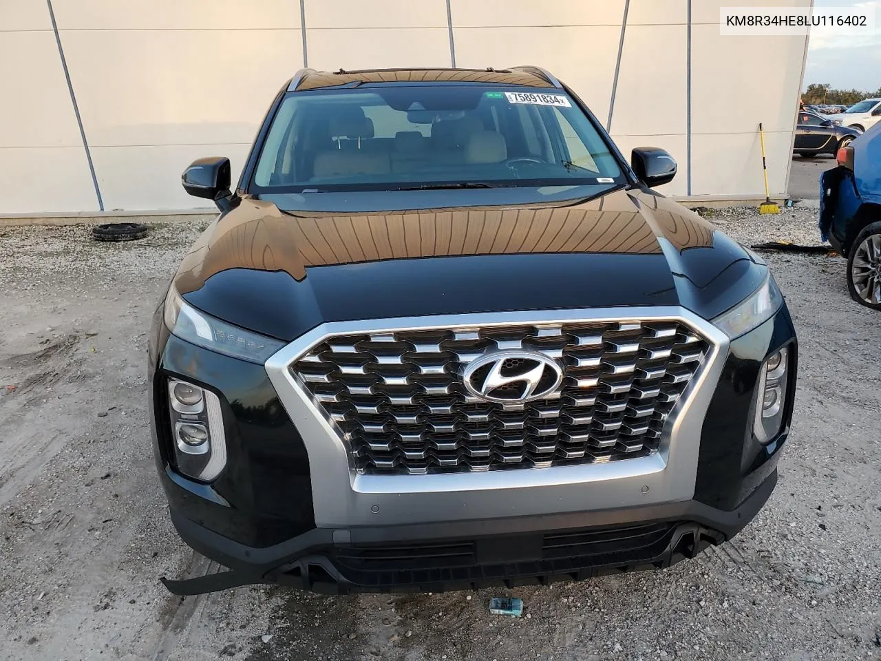 2020 Hyundai Palisade Sel VIN: KM8R34HE8LU116402 Lot: 75891834