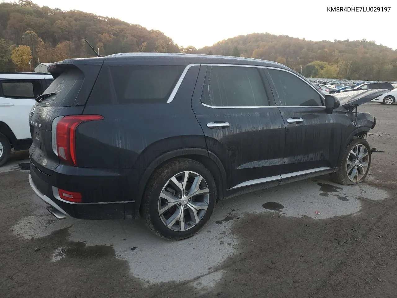 2020 Hyundai Palisade Sel VIN: KM8R4DHE7LU029197 Lot: 77357774