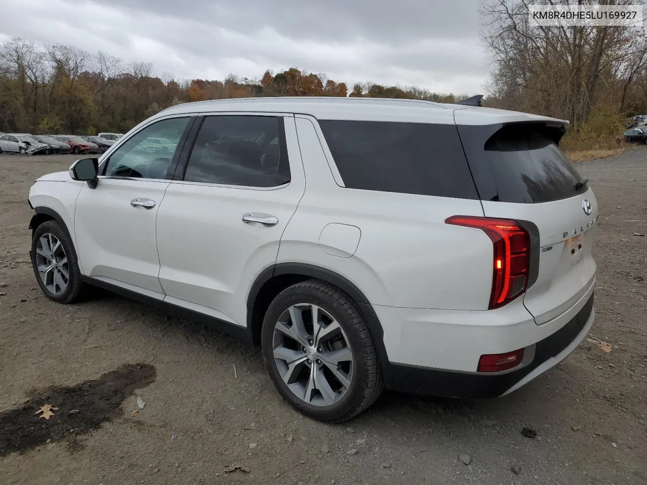 2020 Hyundai Palisade Sel VIN: KM8R4DHE5LU169927 Lot: 78458924