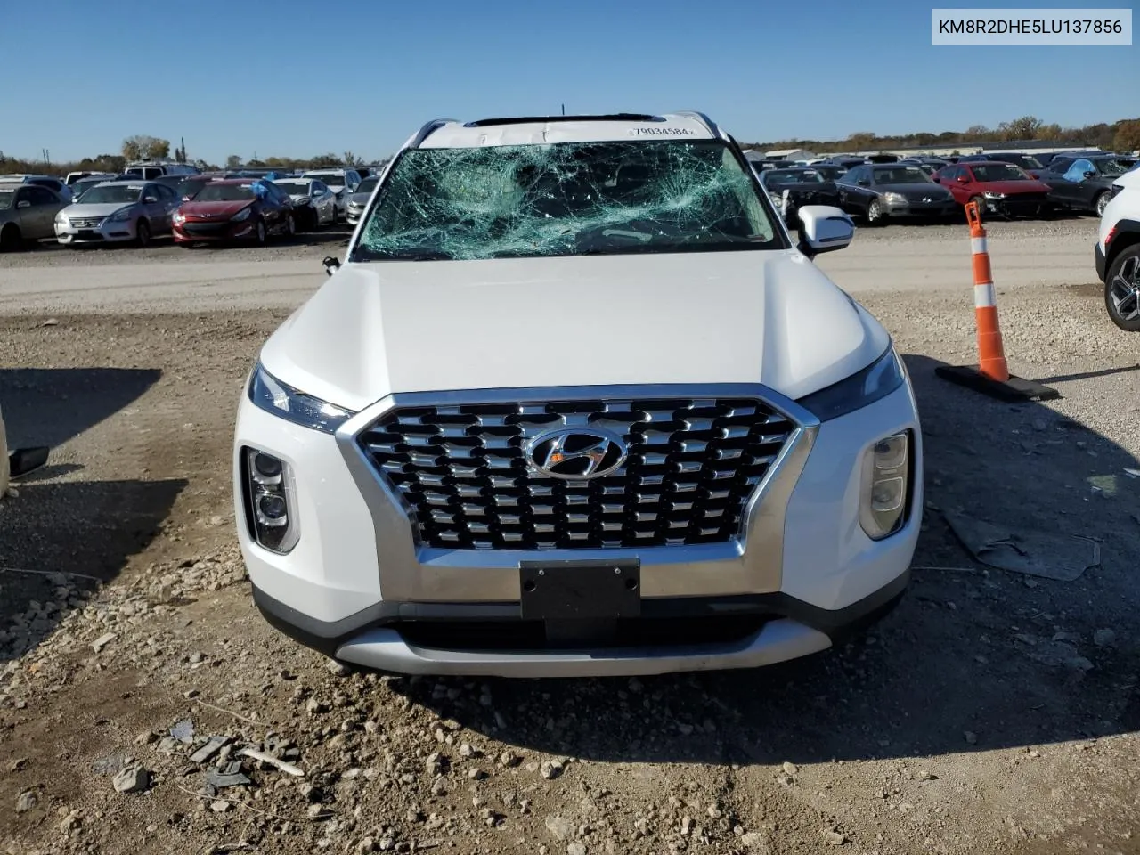 2020 Hyundai Palisade Sel VIN: KM8R2DHE5LU137856 Lot: 79034584