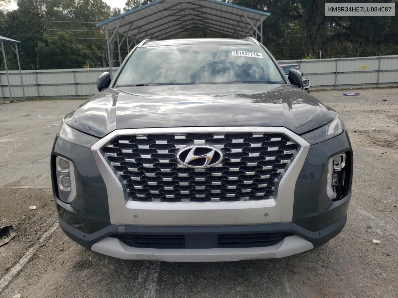 2020 Hyundai Palisade Sel VIN: KM8R34HE7LU084087 Lot: 81447714