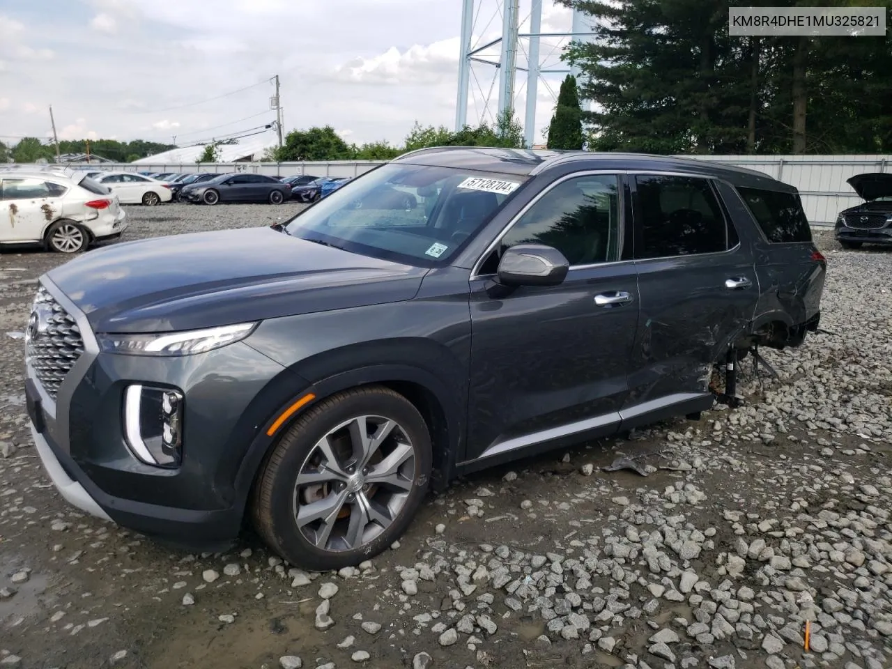 2021 Hyundai Palisade Sel VIN: KM8R4DHE1MU325821 Lot: 57128704