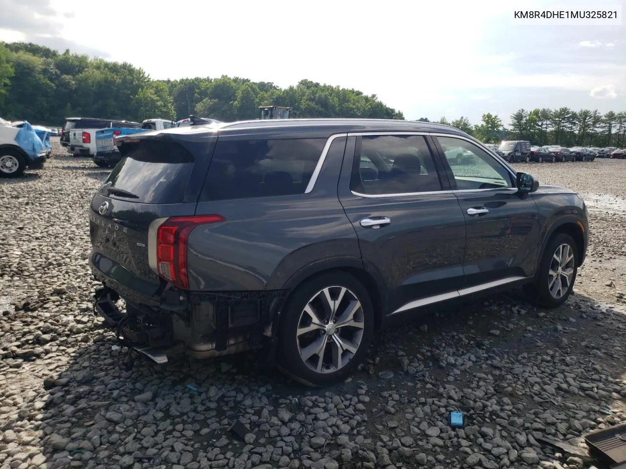 2021 Hyundai Palisade Sel VIN: KM8R4DHE1MU325821 Lot: 57128704