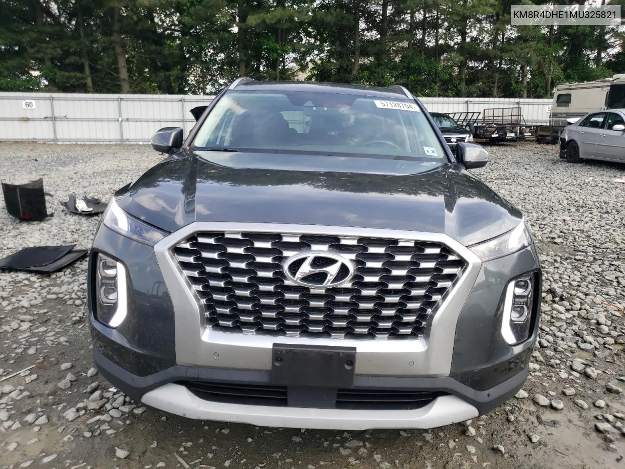 2021 Hyundai Palisade Sel VIN: KM8R4DHE1MU325821 Lot: 57128704