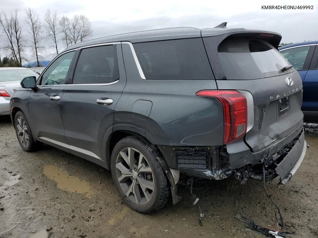 2022 Hyundai Palisade Sel VIN: KM8R4DHE0NU469992 Lot: 48739354