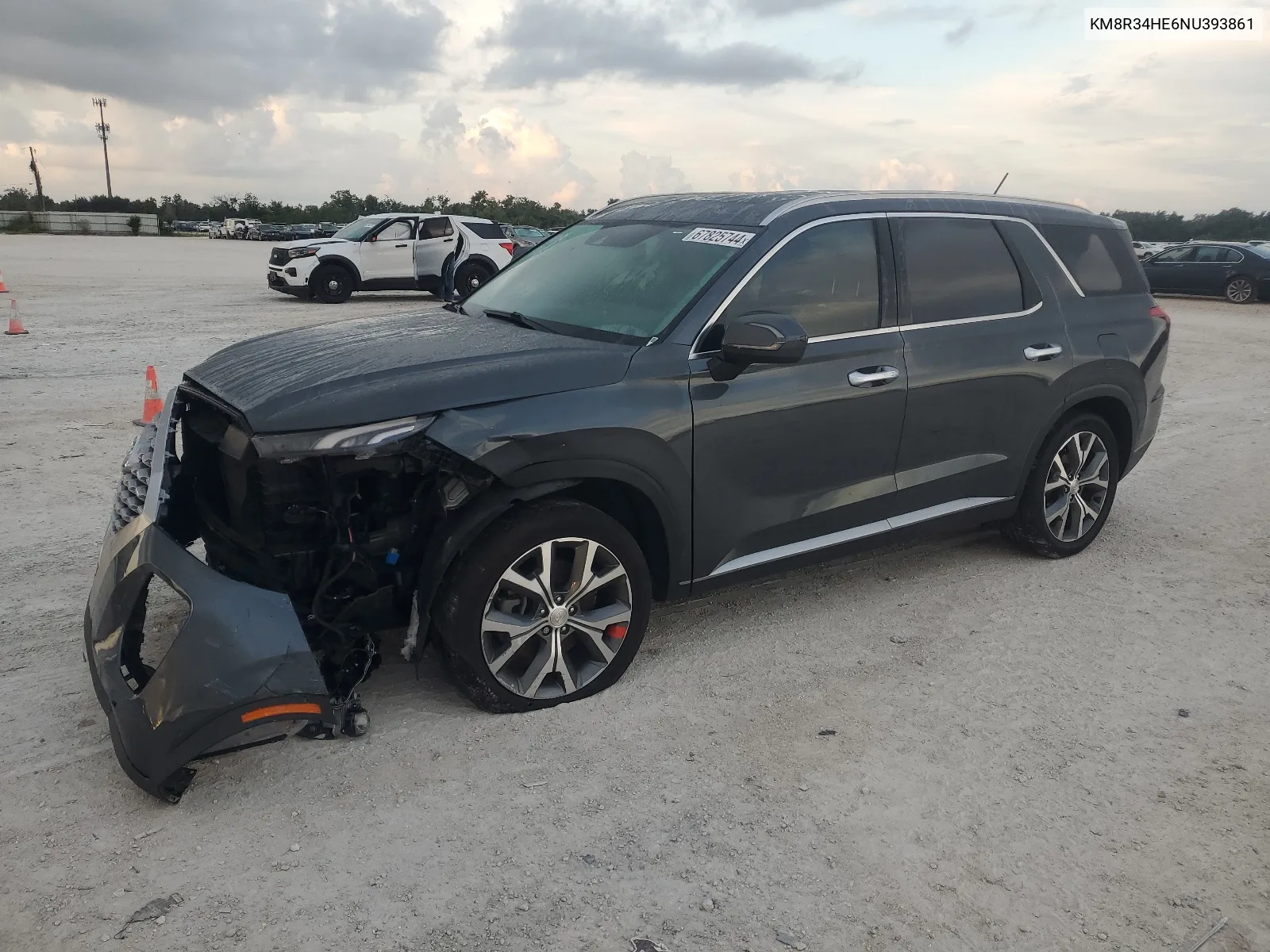 2022 Hyundai Palisade Sel VIN: KM8R34HE6NU393861 Lot: 67825744