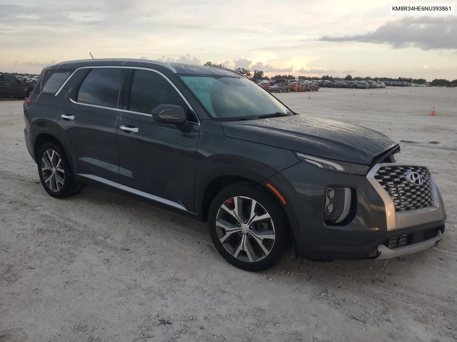 2022 Hyundai Palisade Sel VIN: KM8R34HE6NU393861 Lot: 67825744