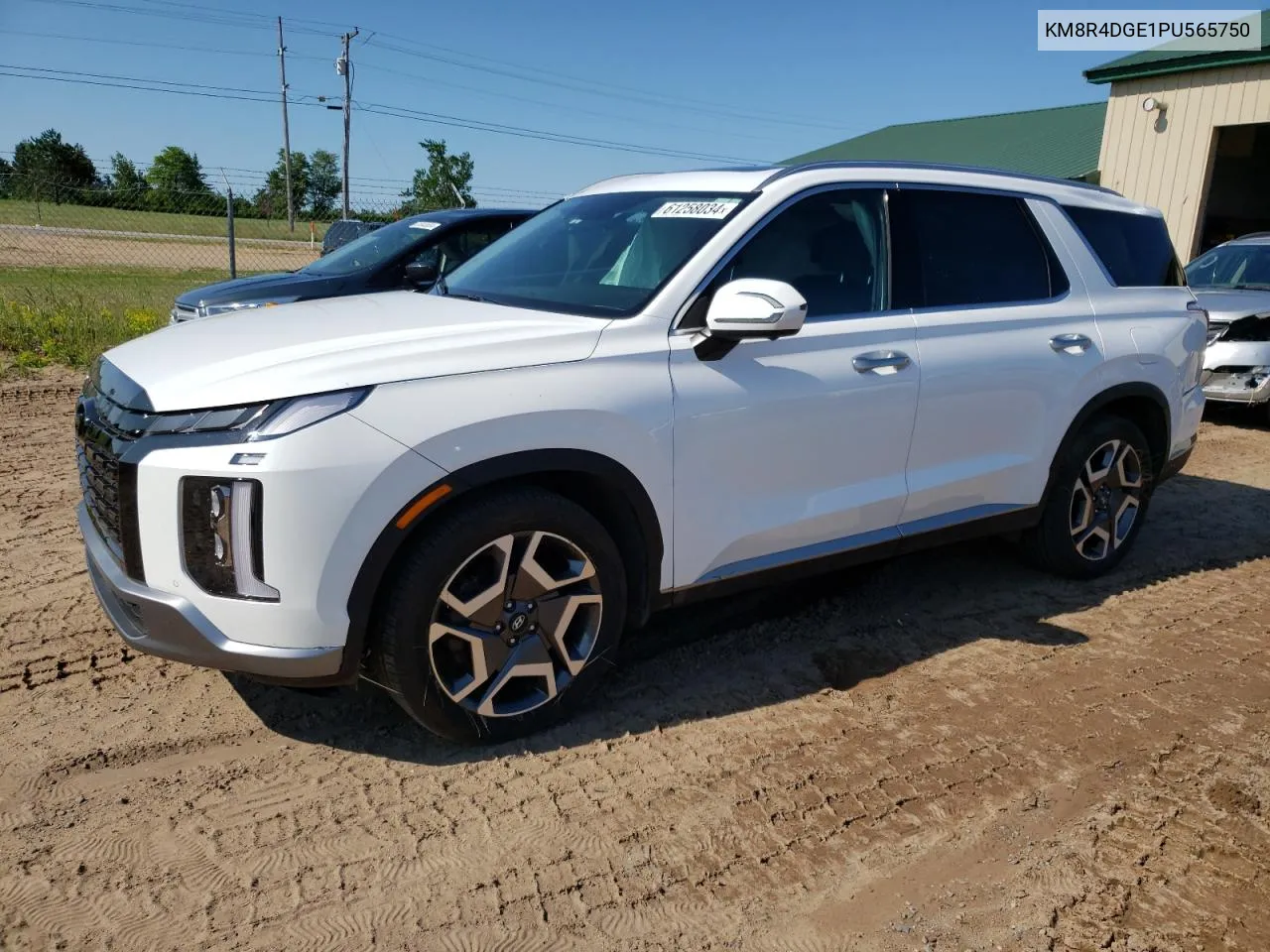 2023 Hyundai Palisade Sel Premium VIN: KM8R4DGE1PU565750 Lot: 61258034