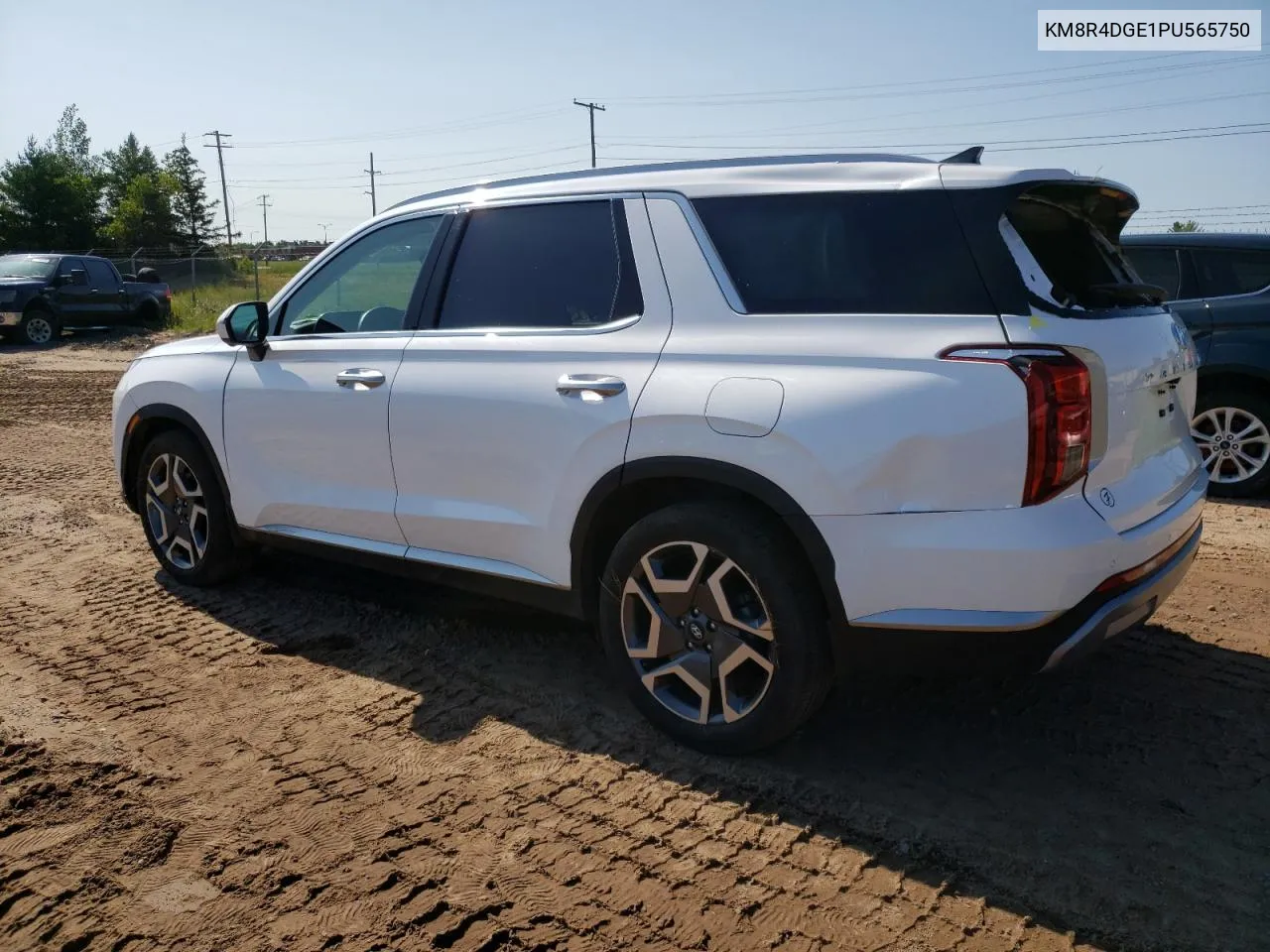 2023 Hyundai Palisade Sel Premium VIN: KM8R4DGE1PU565750 Lot: 61258034