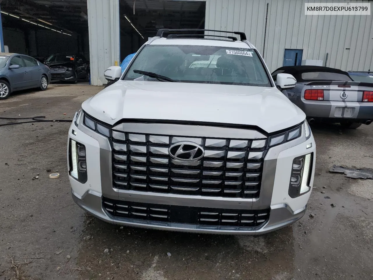 2023 Hyundai Palisade Calligraphy VIN: KM8R7DGEXPU613799 Lot: 71580664