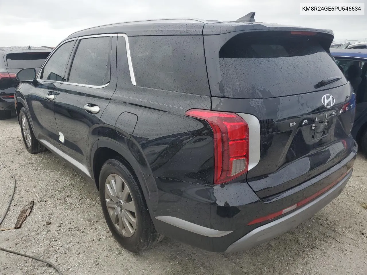 2023 Hyundai Palisade Sel VIN: KM8R24GE6PU546634 Lot: 76095234