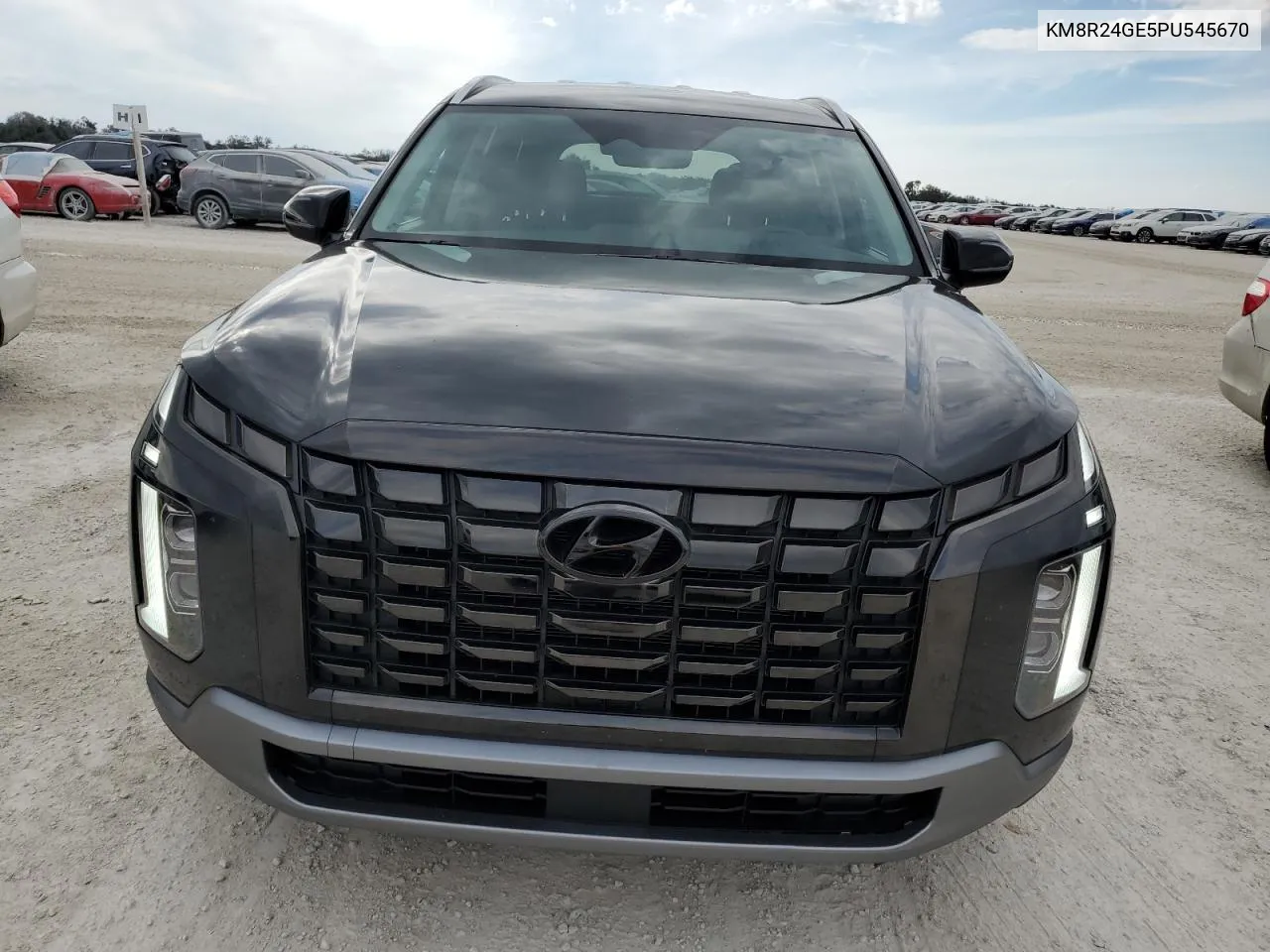 2023 Hyundai Palisade Sel VIN: KM8R24GE5PU545670 Lot: 78073704