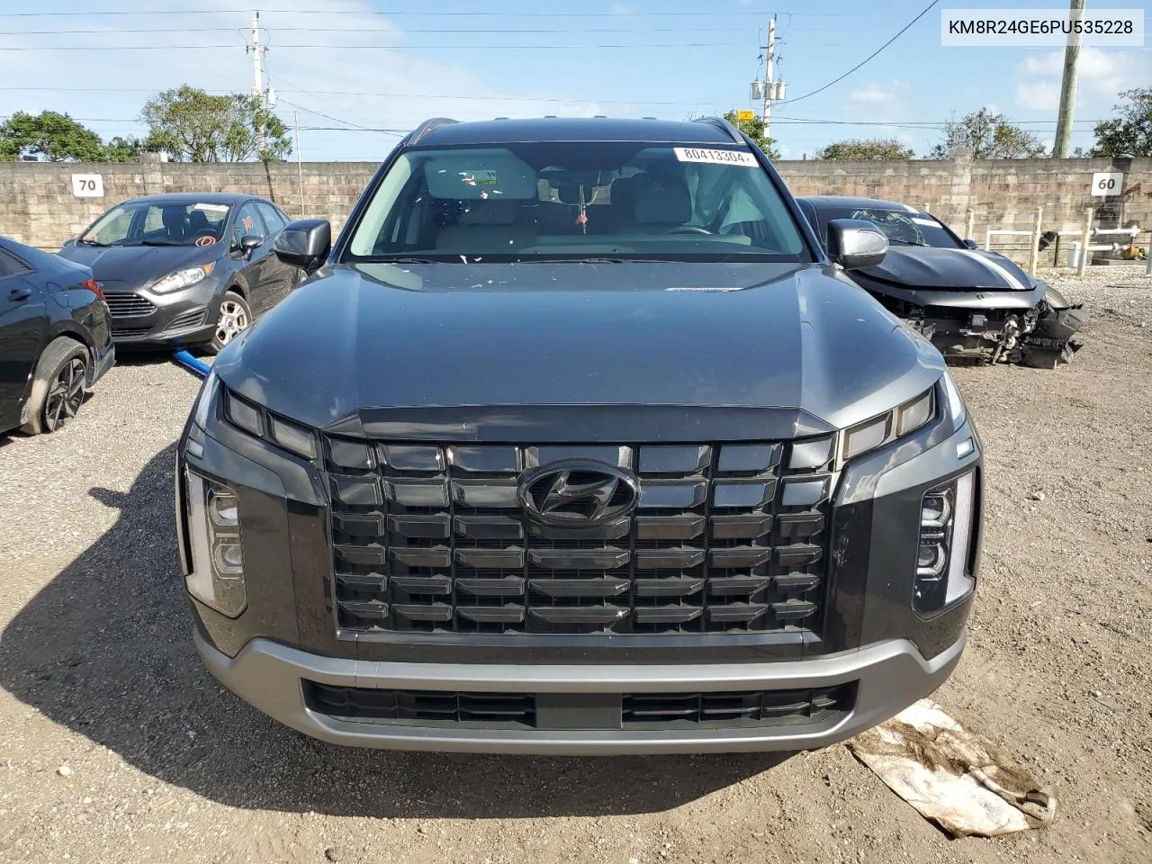 2023 Hyundai Palisade Sel VIN: KM8R24GE6PU535228 Lot: 80413304