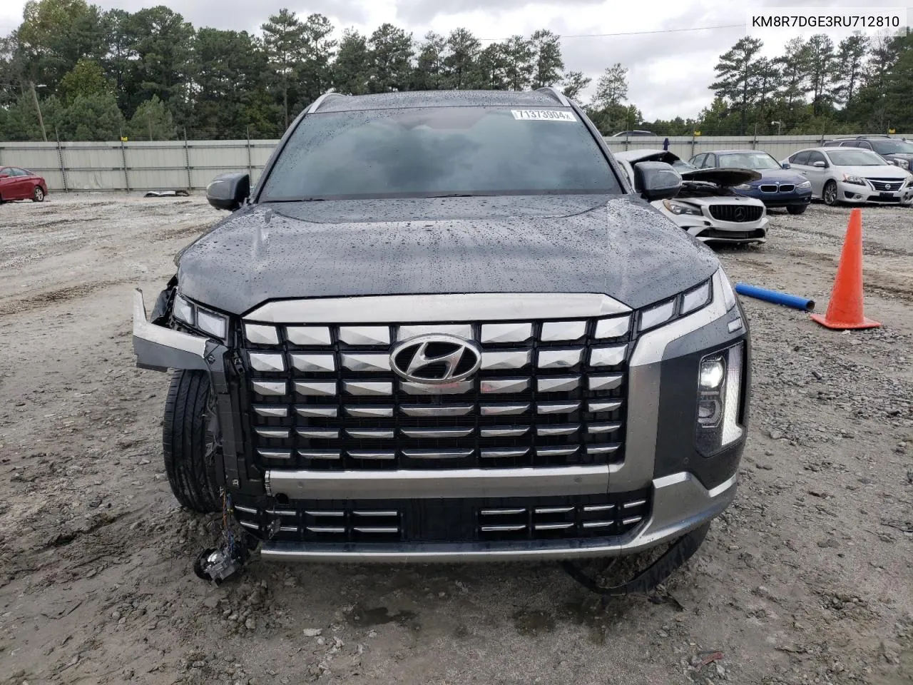 2024 Hyundai Palisade Calligraphy VIN: KM8R7DGE3RU712810 Lot: 71373904