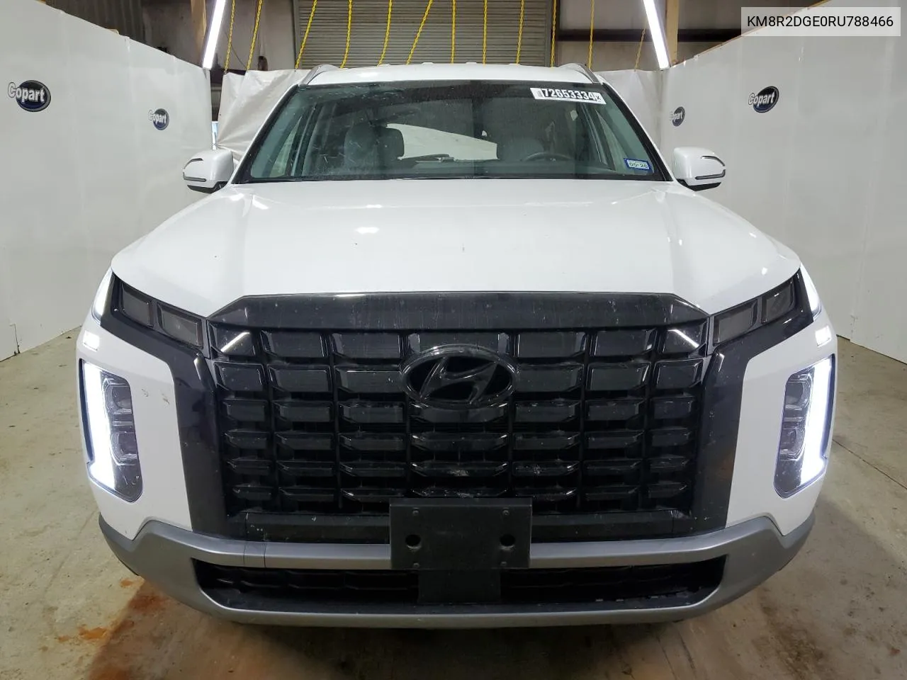 2024 Hyundai Palisade Sel VIN: KM8R2DGE0RU788466 Lot: 72653334