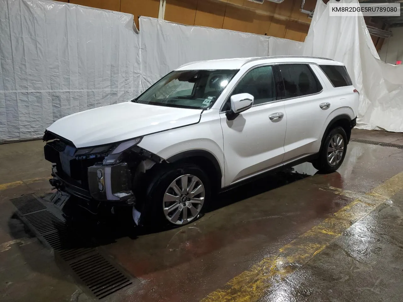 2024 Hyundai Palisade Sel VIN: KM8R2DGE5RU789080 Lot: 76793834