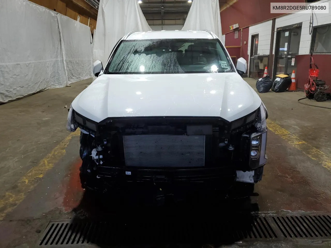 2024 Hyundai Palisade Sel VIN: KM8R2DGE5RU789080 Lot: 76793834