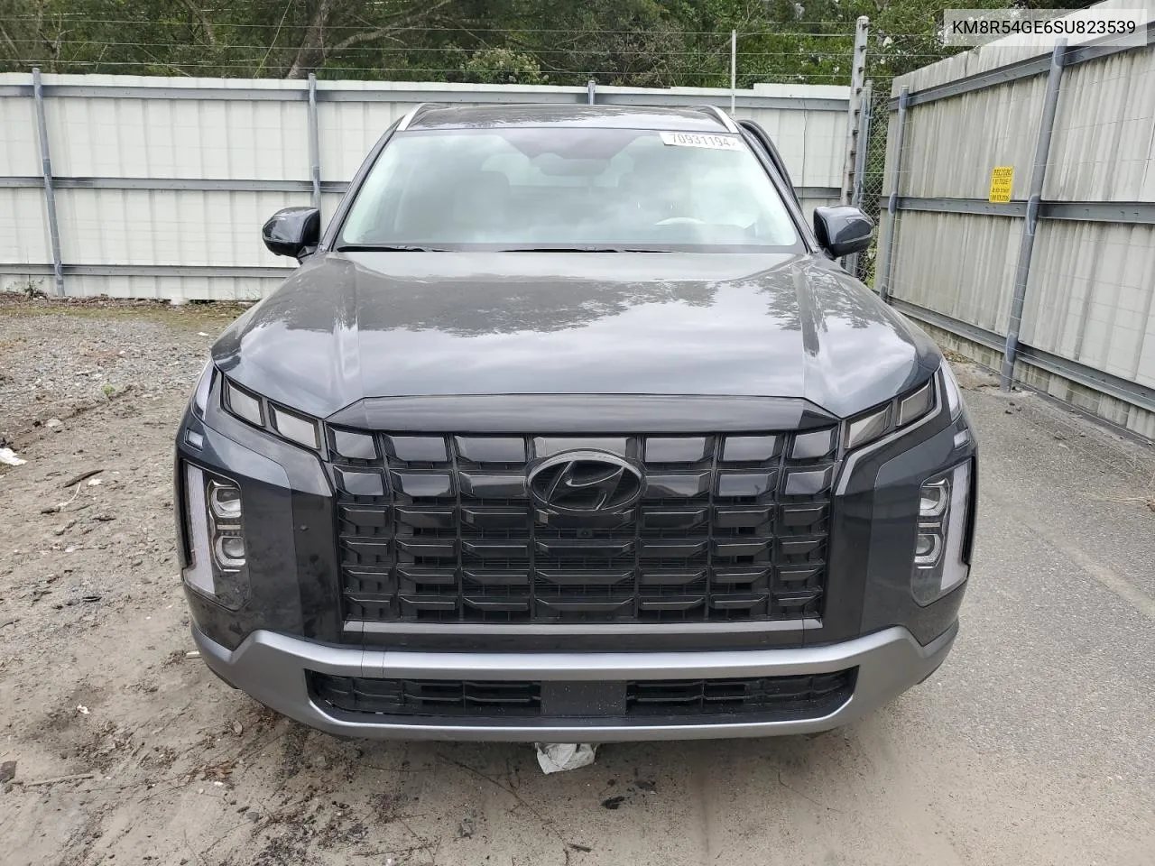 2025 Hyundai Palisade Limited VIN: KM8R54GE6SU823539 Lot: 70931194