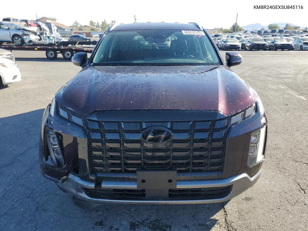 2025 Hyundai Palisade Sel VIN: KM8R24GEXSU845116 Lot: 78303694