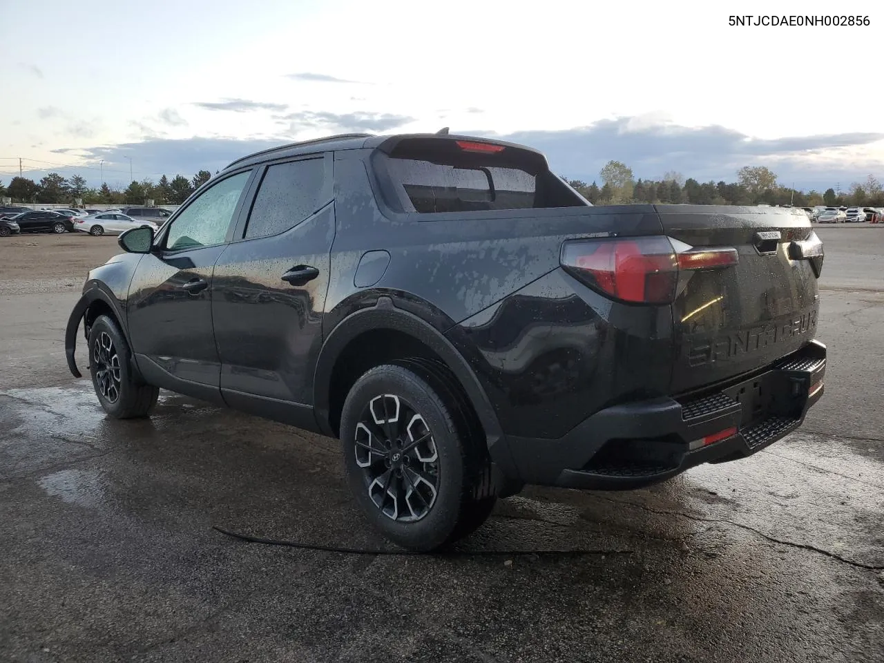 2022 Hyundai Santa Cruz Sel VIN: 5NTJCDAE0NH002856 Lot: 73793524