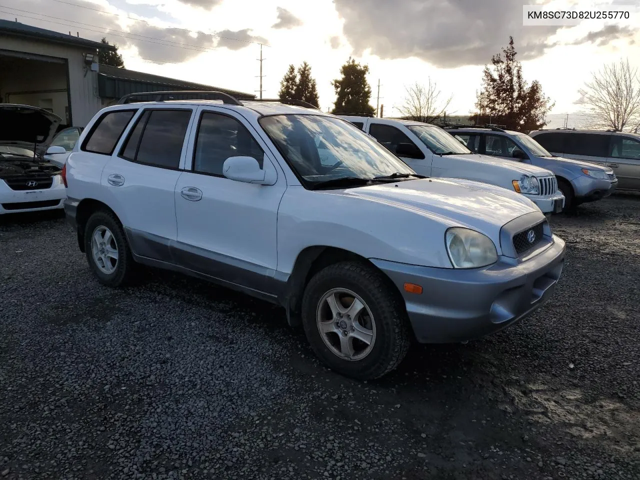 2002 Hyundai Santa Fe Gls VIN: KM8SC73D82U255770 Lot: 78057954