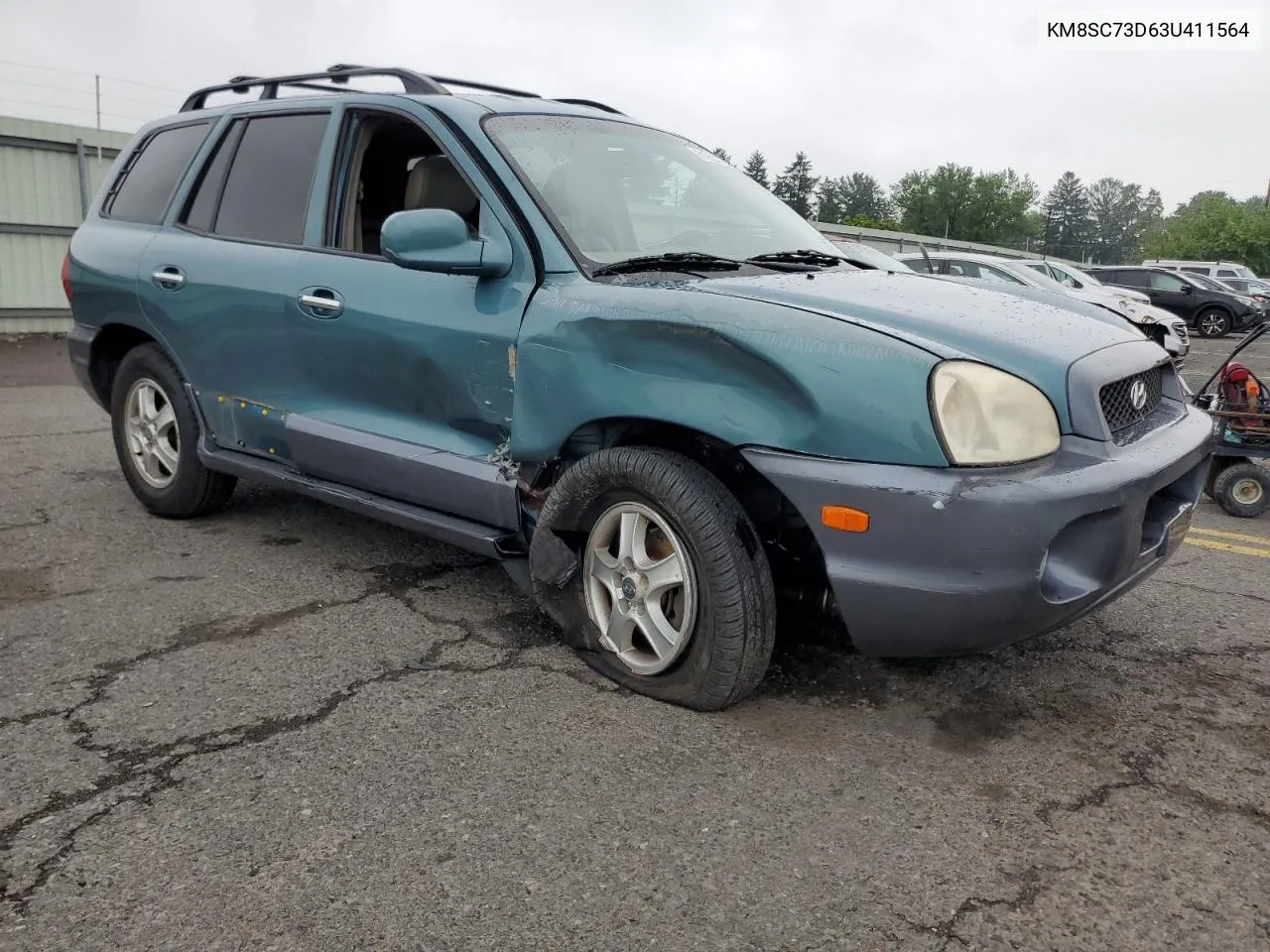 KM8SC73D63U411564 2003 Hyundai Santa Fe Gls