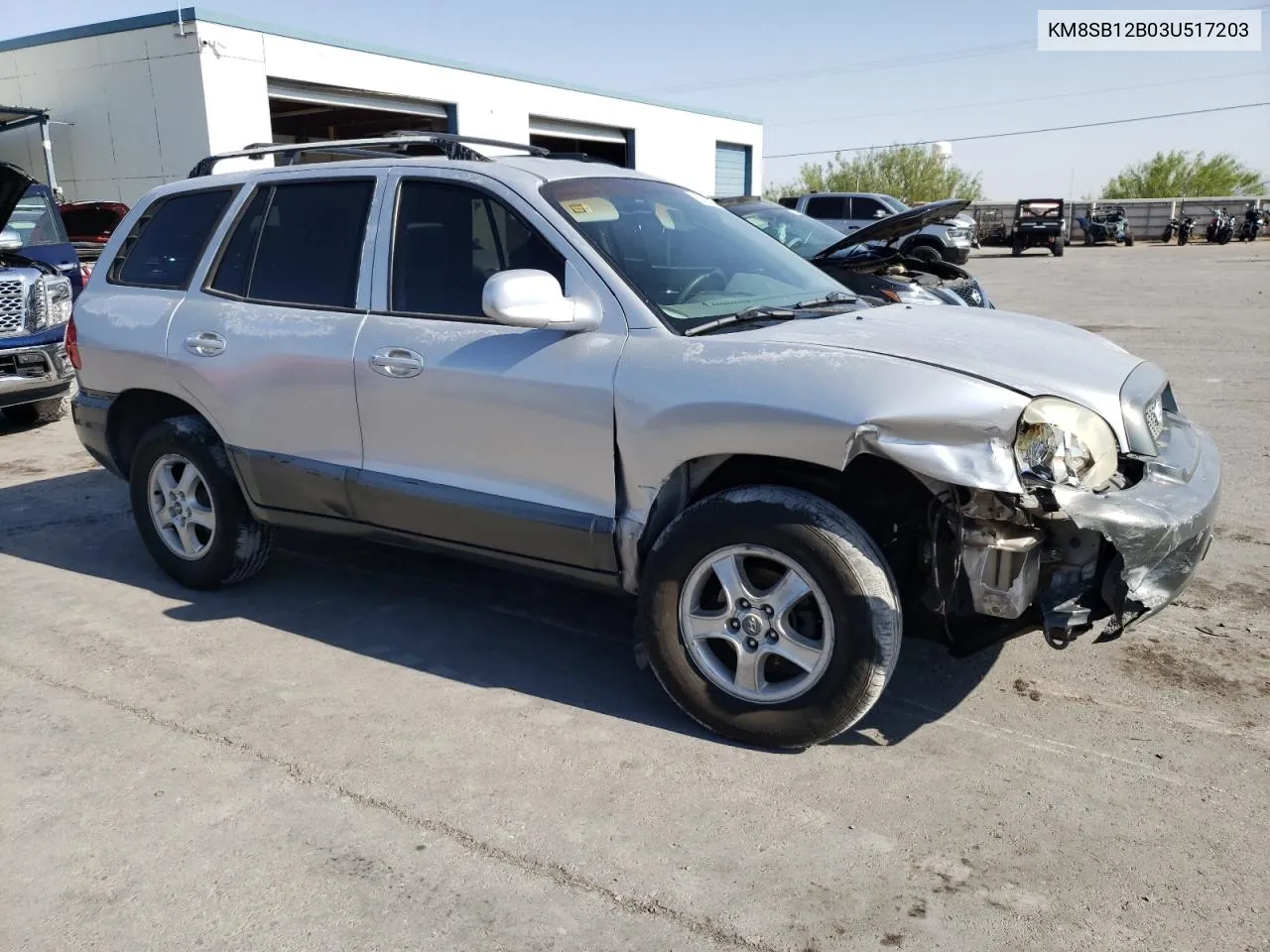 2003 Hyundai Santa Fe Gl VIN: KM8SB12B03U517203 Lot: 63284064