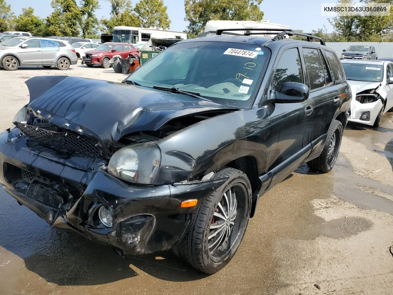 2003 Hyundai Santa Fe Gls VIN: KM8SC13D63U360869 Lot: 70447874