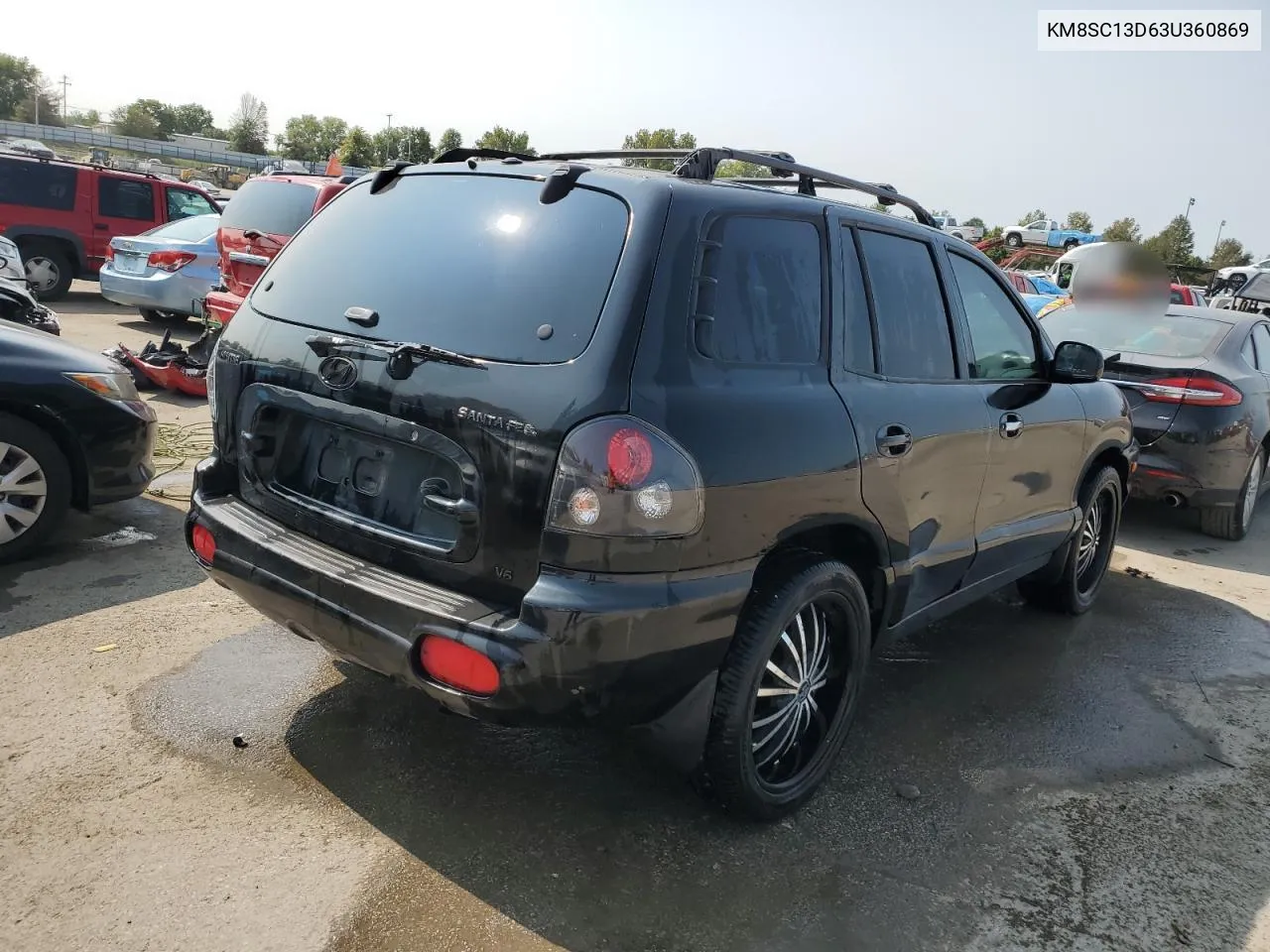 2003 Hyundai Santa Fe Gls VIN: KM8SC13D63U360869 Lot: 70447874