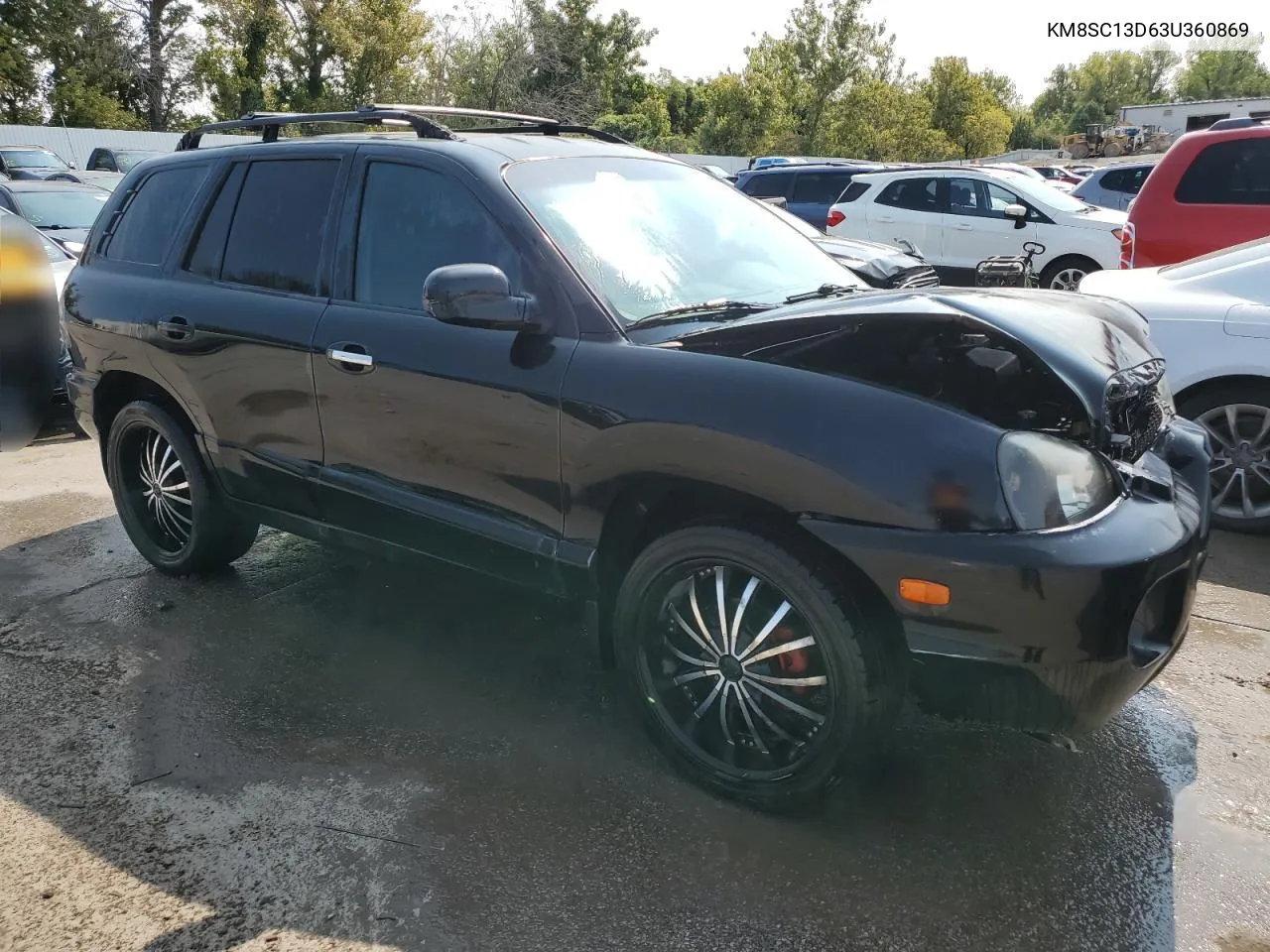 2003 Hyundai Santa Fe Gls VIN: KM8SC13D63U360869 Lot: 70447874