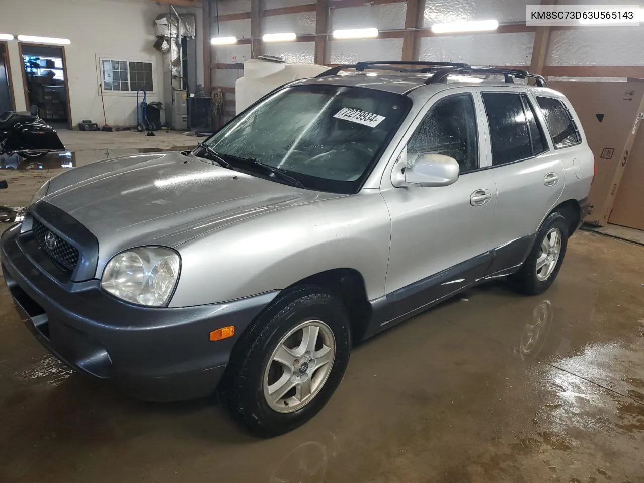 2003 Hyundai Santa Fe Gls VIN: KM8SC73D63U565143 Lot: 72279934