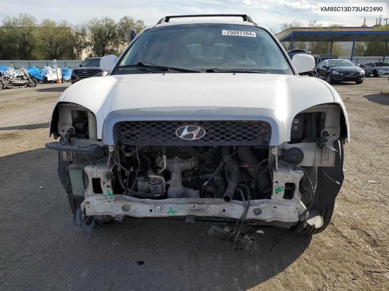 KM8SC13D73U422490 2003 Hyundai Santa Fe Gls