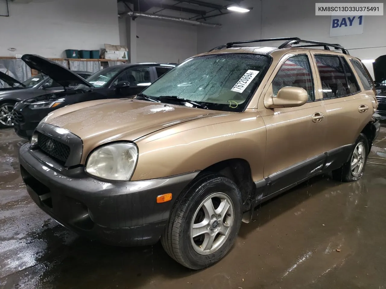 KM8SC13D33U375491 2003 Hyundai Santa Fe Gls