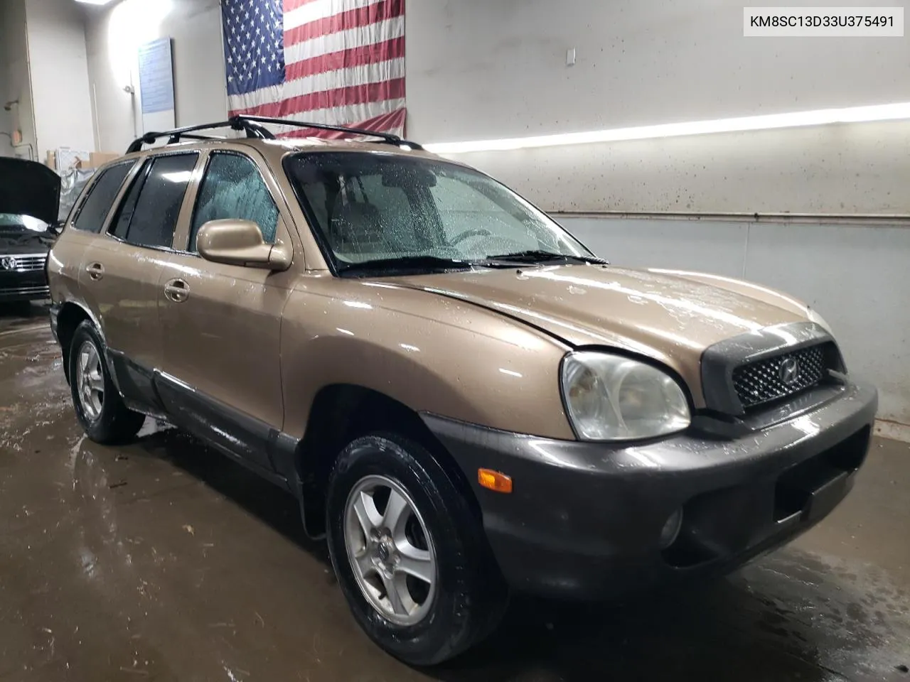 KM8SC13D33U375491 2003 Hyundai Santa Fe Gls