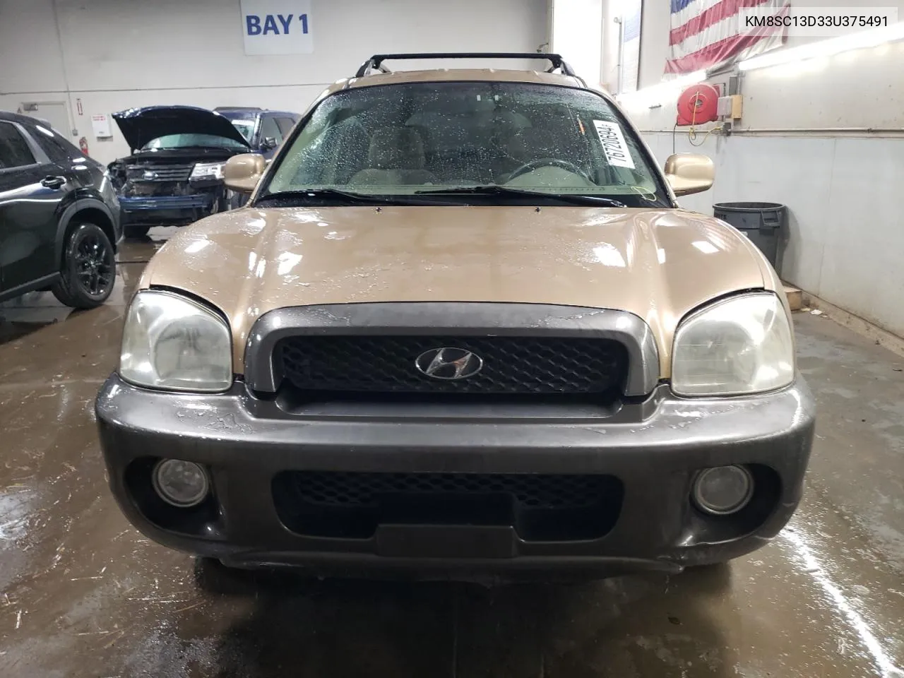 KM8SC13D33U375491 2003 Hyundai Santa Fe Gls