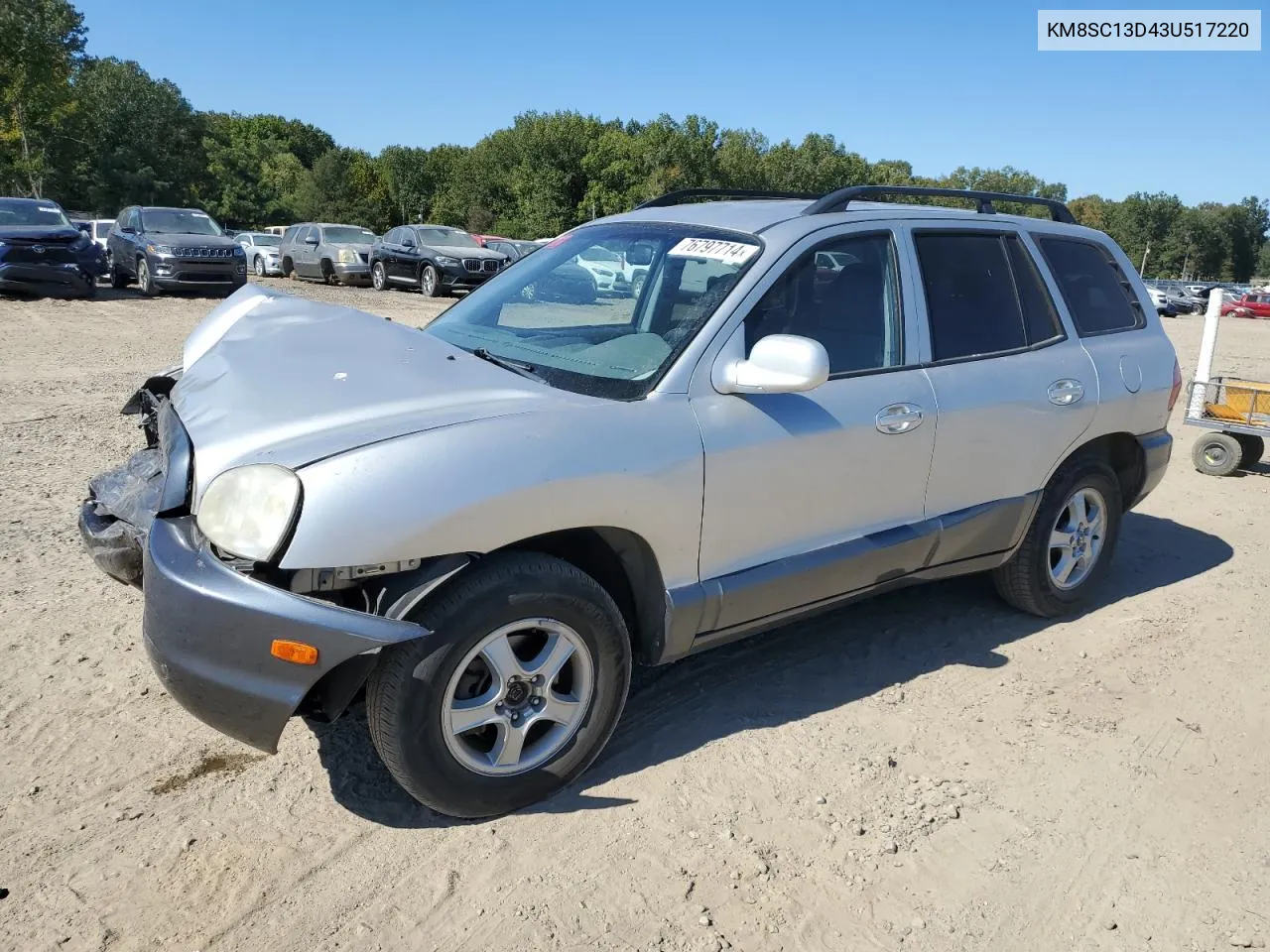 KM8SC13D43U517220 2003 Hyundai Santa Fe Gls