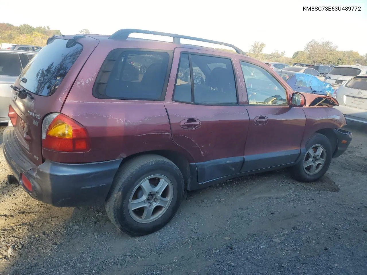 2003 Hyundai Santa Fe Gls VIN: KM8SC73E63U489772 Lot: 77115994