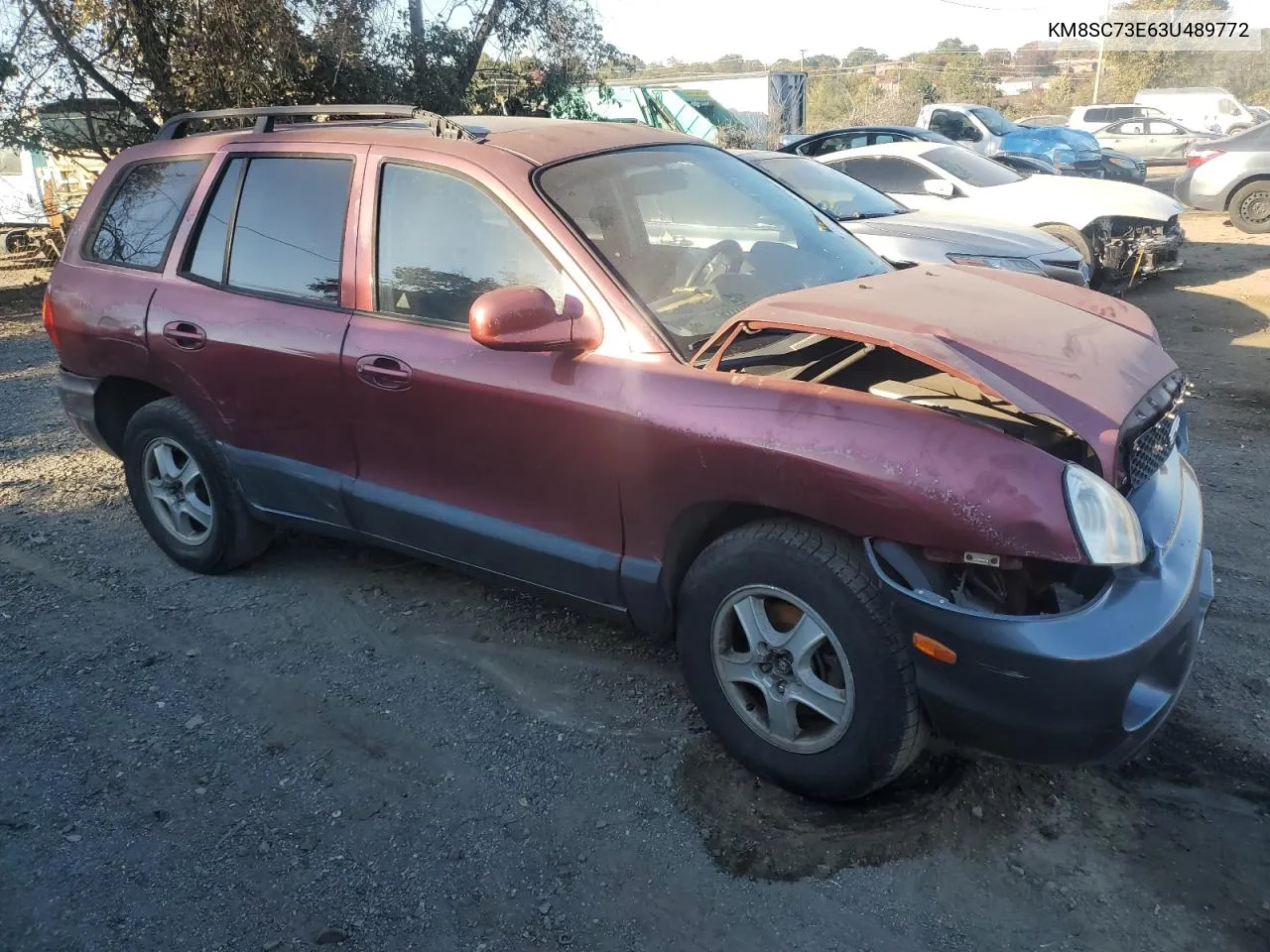 2003 Hyundai Santa Fe Gls VIN: KM8SC73E63U489772 Lot: 77115994