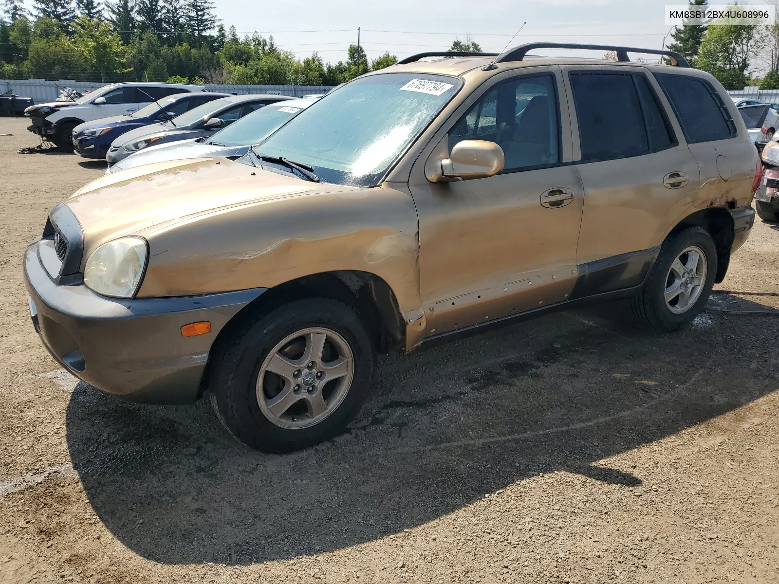 2004 Hyundai Santa Fe Gl VIN: KM8SB12BX4U608996 Lot: 67697794