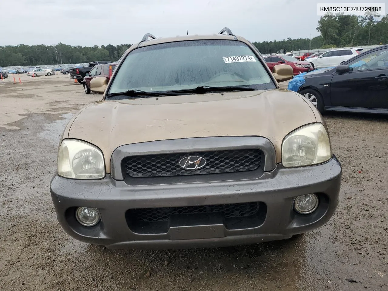 KM8SC13E74U729488 2004 Hyundai Santa Fe Gls