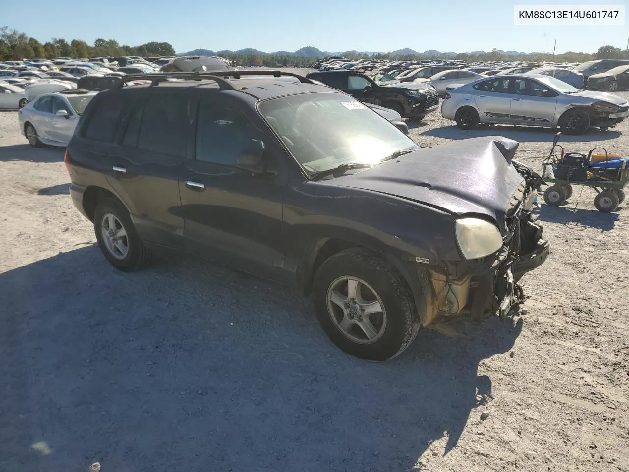 KM8SC13E14U601747 2004 Hyundai Santa Fe Gls