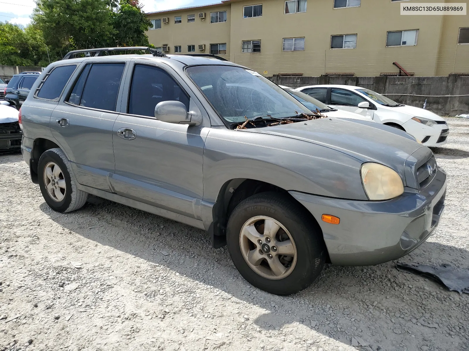 2005 Hyundai Santa Fe Gls VIN: KM8SC13D65U889869 Lot: 67493314