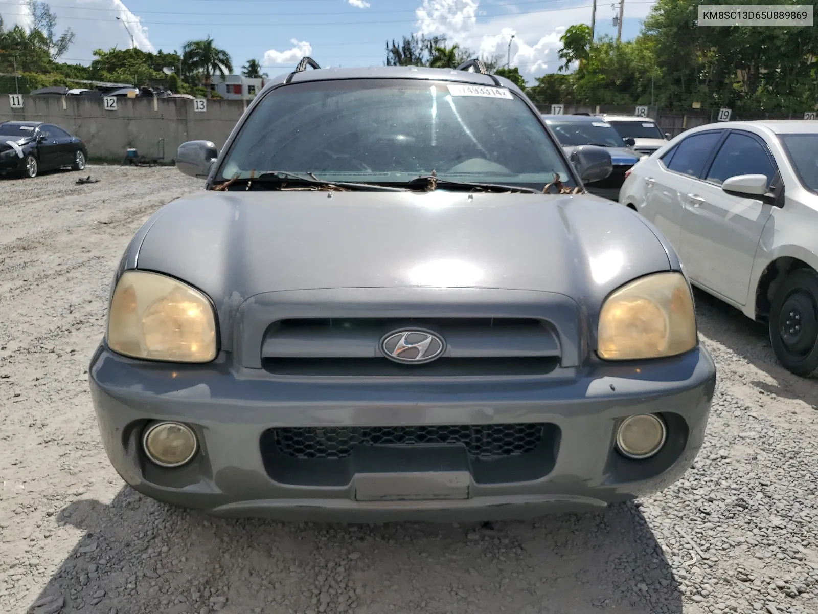 2005 Hyundai Santa Fe Gls VIN: KM8SC13D65U889869 Lot: 67493314