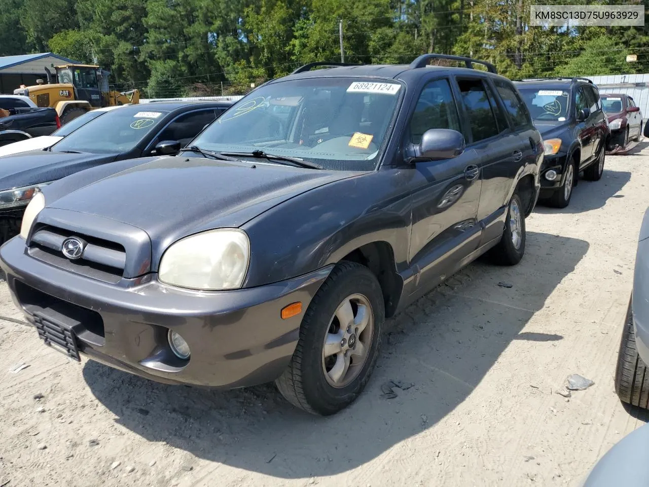 KM8SC13D75U963929 2005 Hyundai Santa Fe Gls